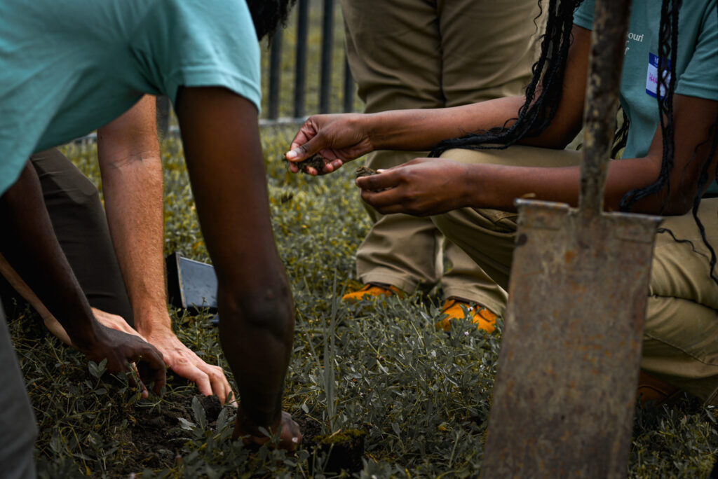 Sprinkling dirt back into the hole